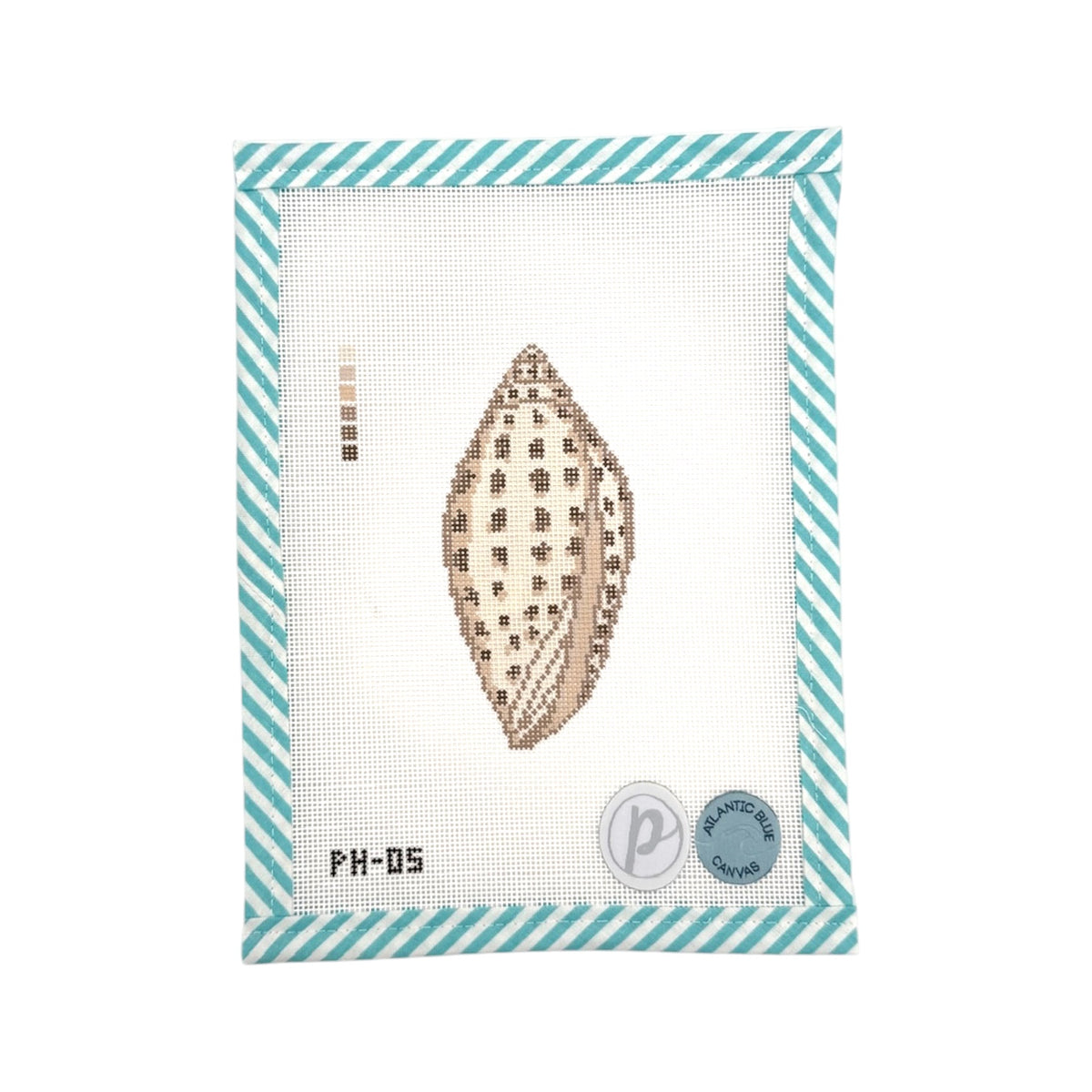 Junonia Shell