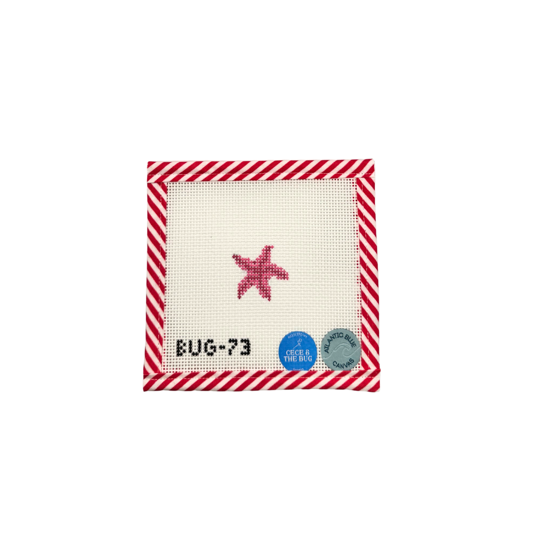 Mini Starfish