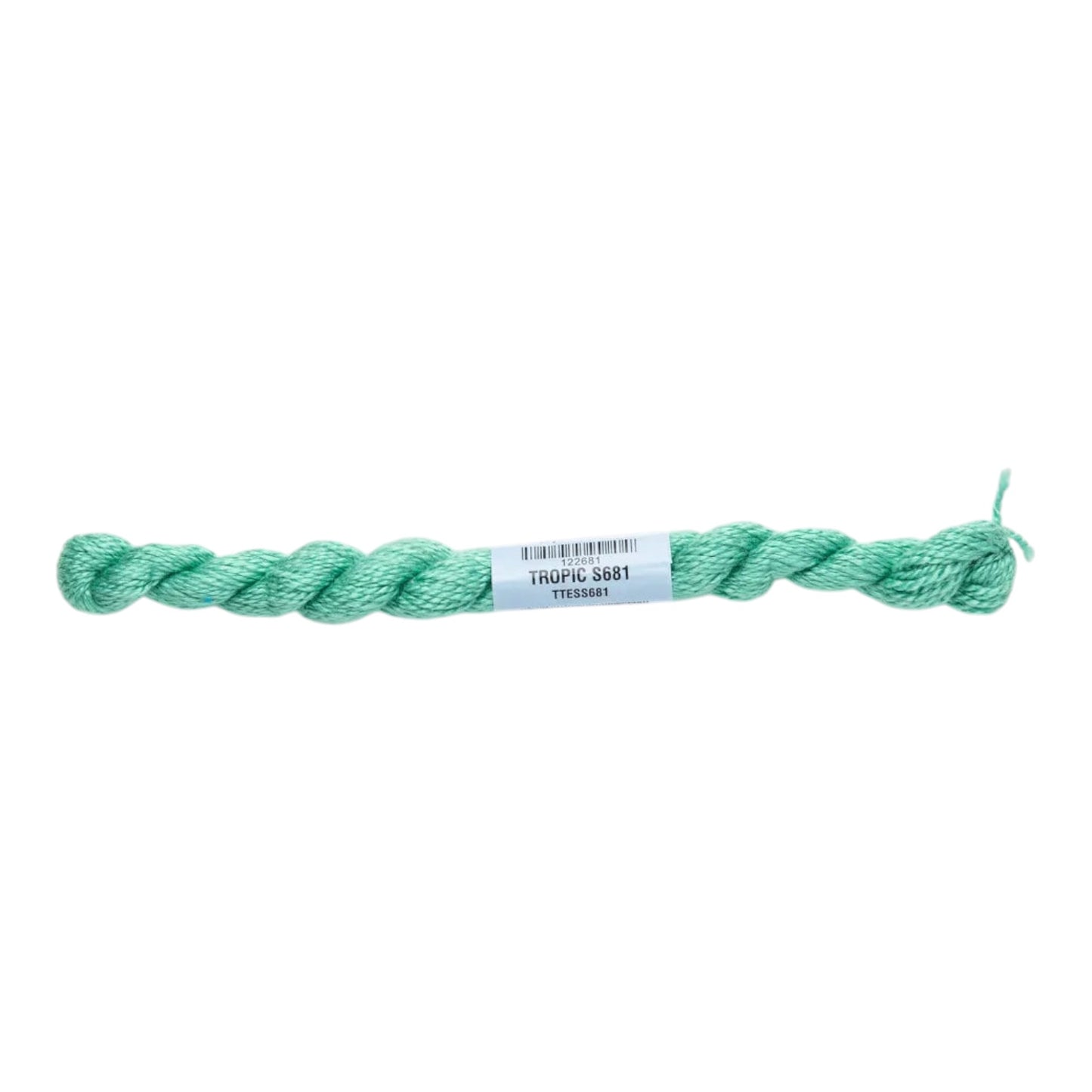 Atlantic Blue Canvas Essentials Skeins 681 Tropics, a mint green silk-blend embroidery thread for 18 mesh canvas.