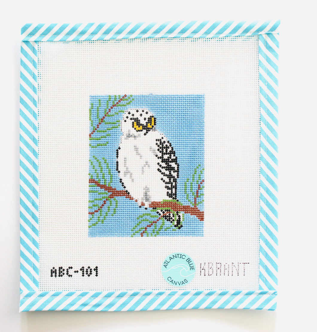 Snowy Owl