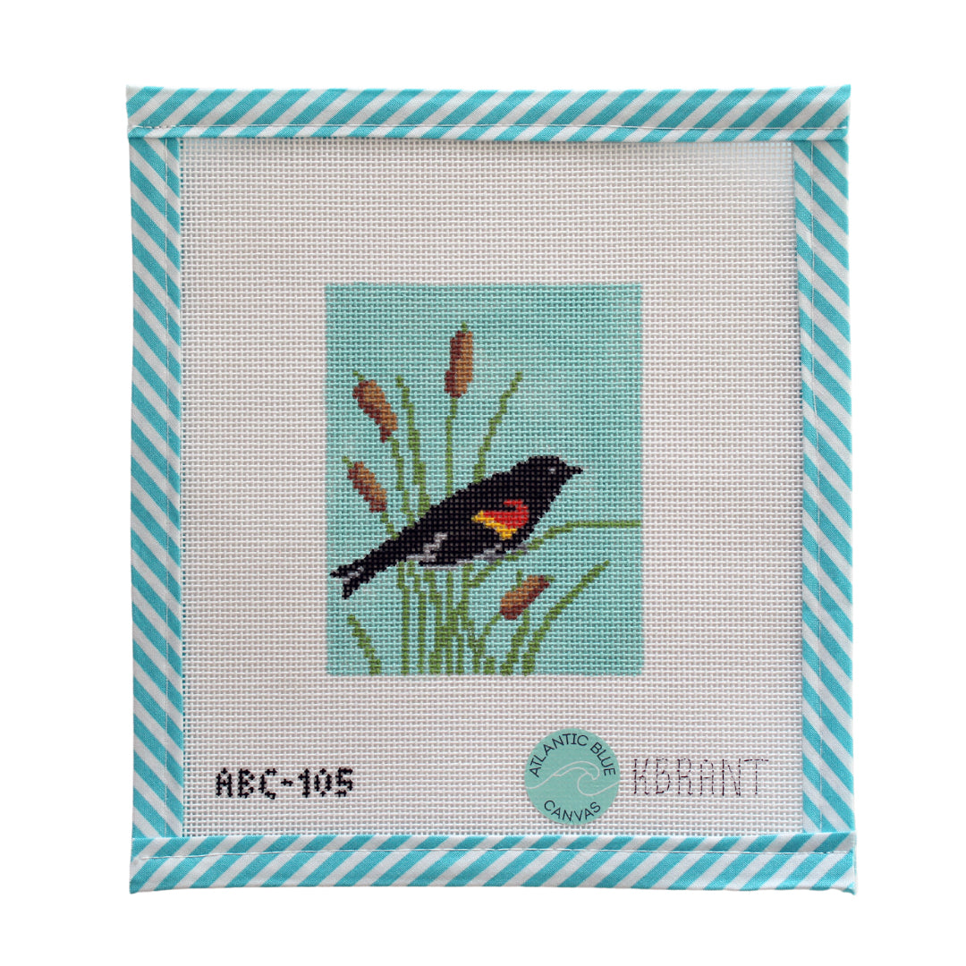 Red-Winged Blackbird - Atlantic Blue Canvas