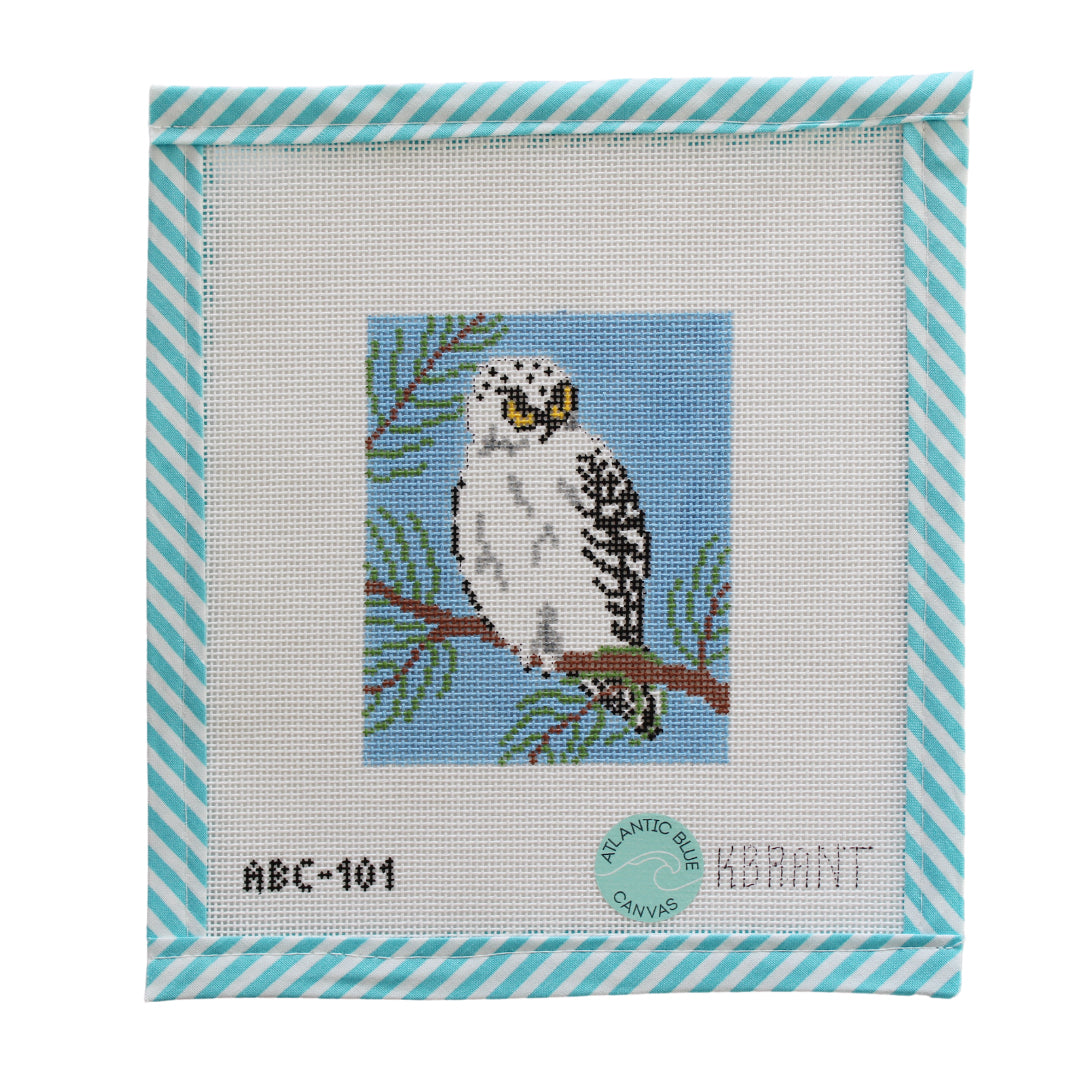 Snowy Owl - Atlantic Blue Canvas