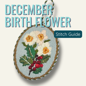 December Birth Flower Stitch Guide