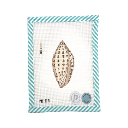 Junonia Shell