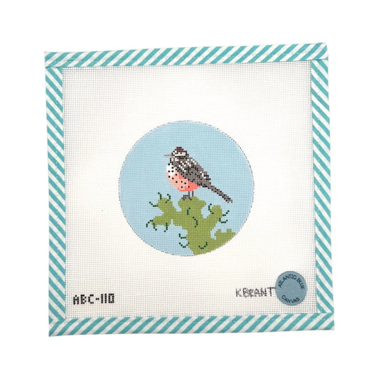 Cactus Wren