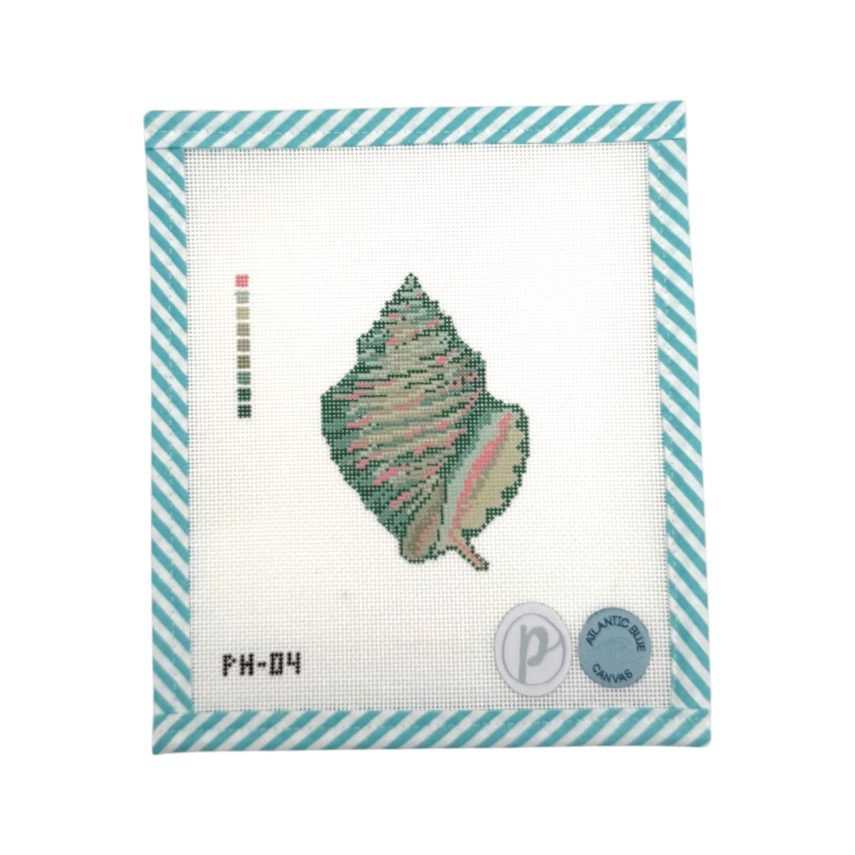 Conch Shell