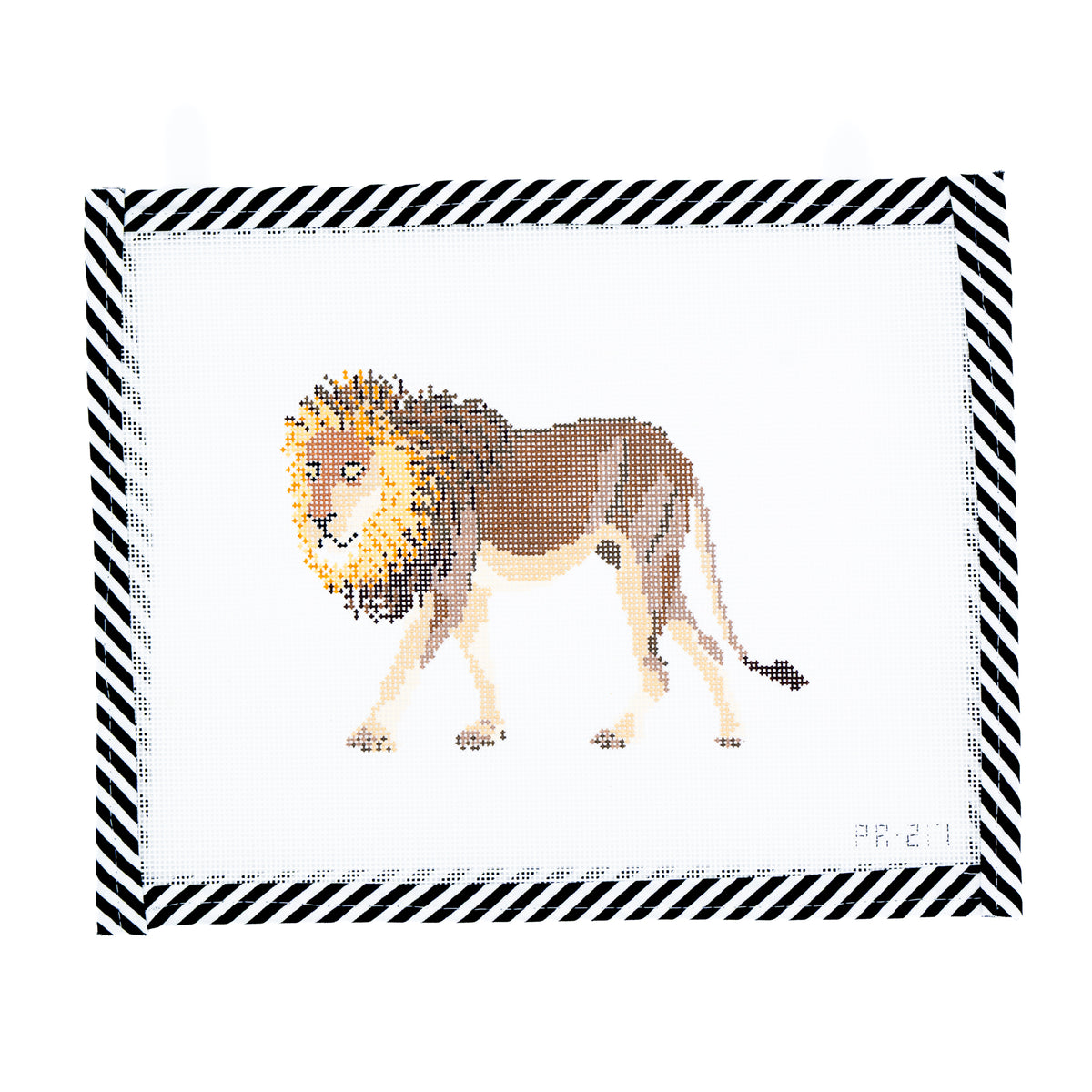 African Lion