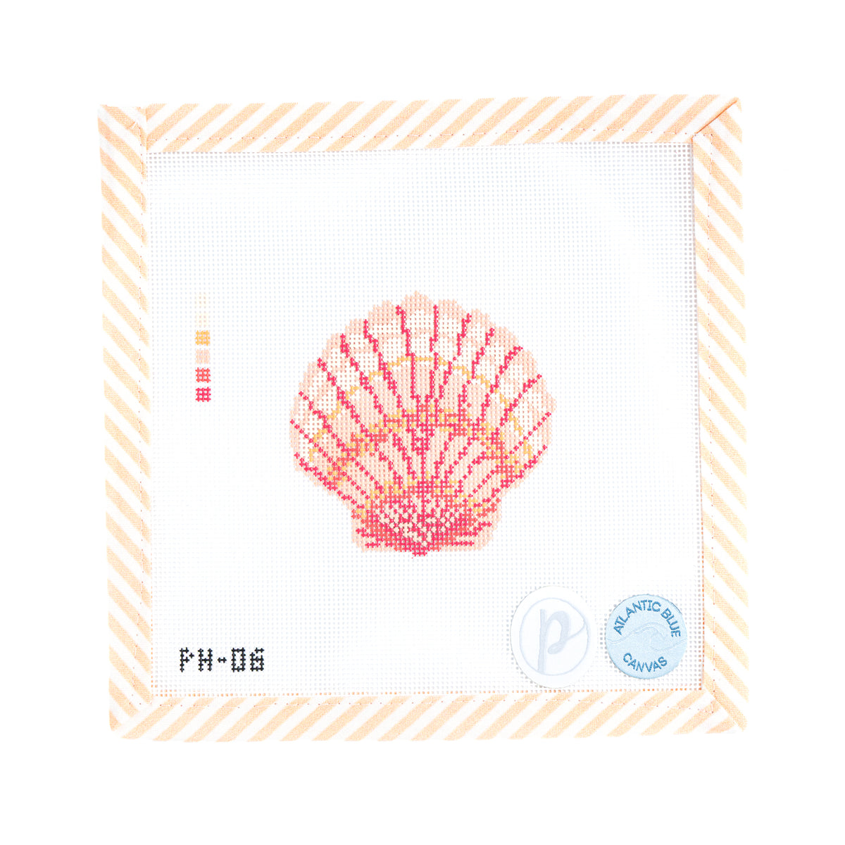 Calico Scallop Shell