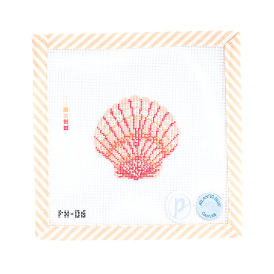 Calico Scallop Shell