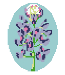 Bluebonnet Oval
