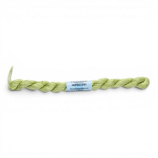 Atlantic Blue Canvas Essentials Skeins 701 Tadpole light green silk-blend embroidery thread